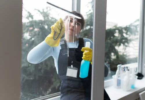 Nettoyage de vitres intérieures et extérieures à Belleserre